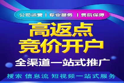SEM运营推广助力行业领导地位
